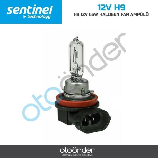 H9 12V 65W Halojen Far Ampulü Yüksek Aydınlatma Gücü OEM Standart